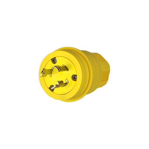 Locking Plug