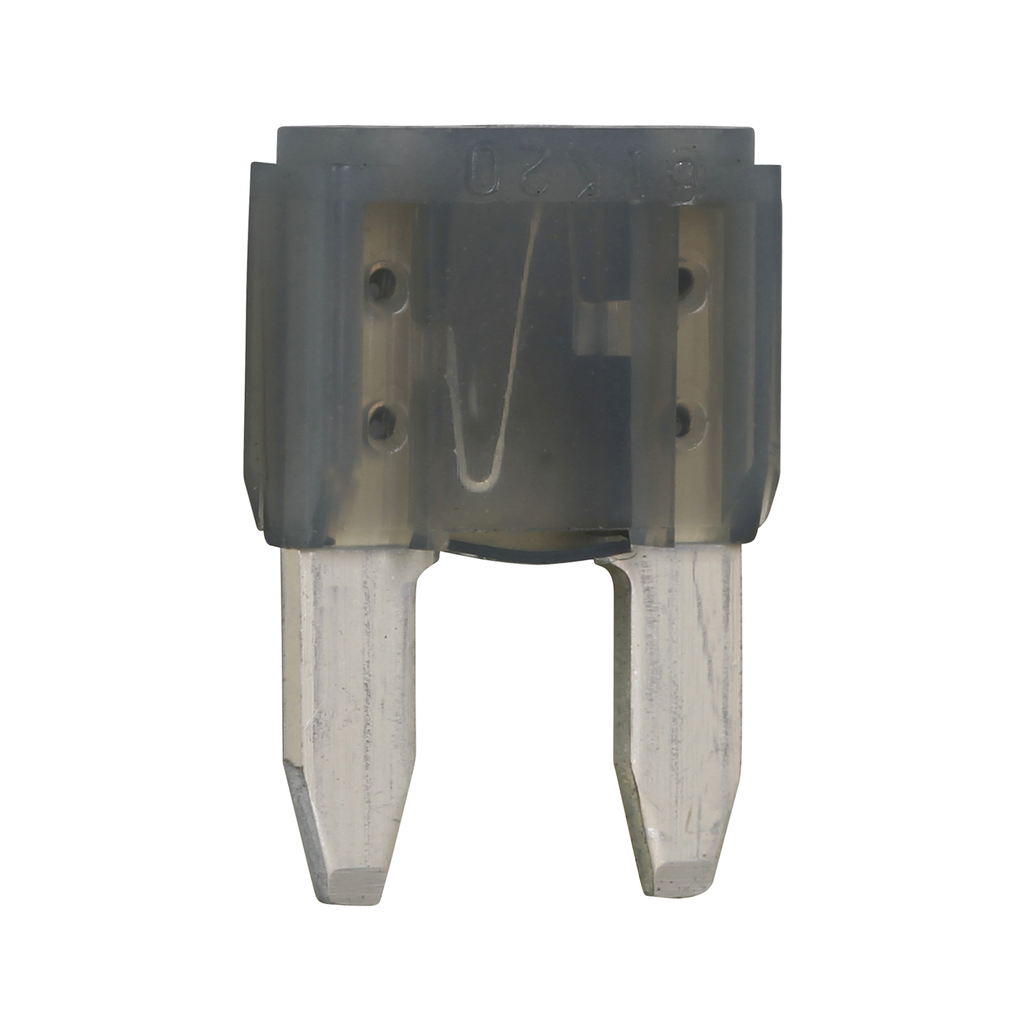 Blade Fuse