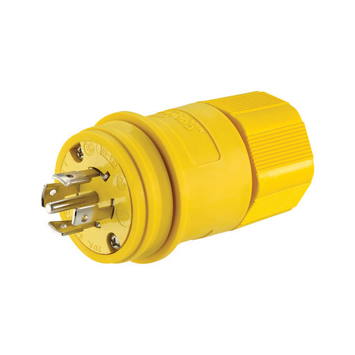Locking Plug