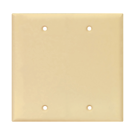 Mid-size Blank Wallplate
