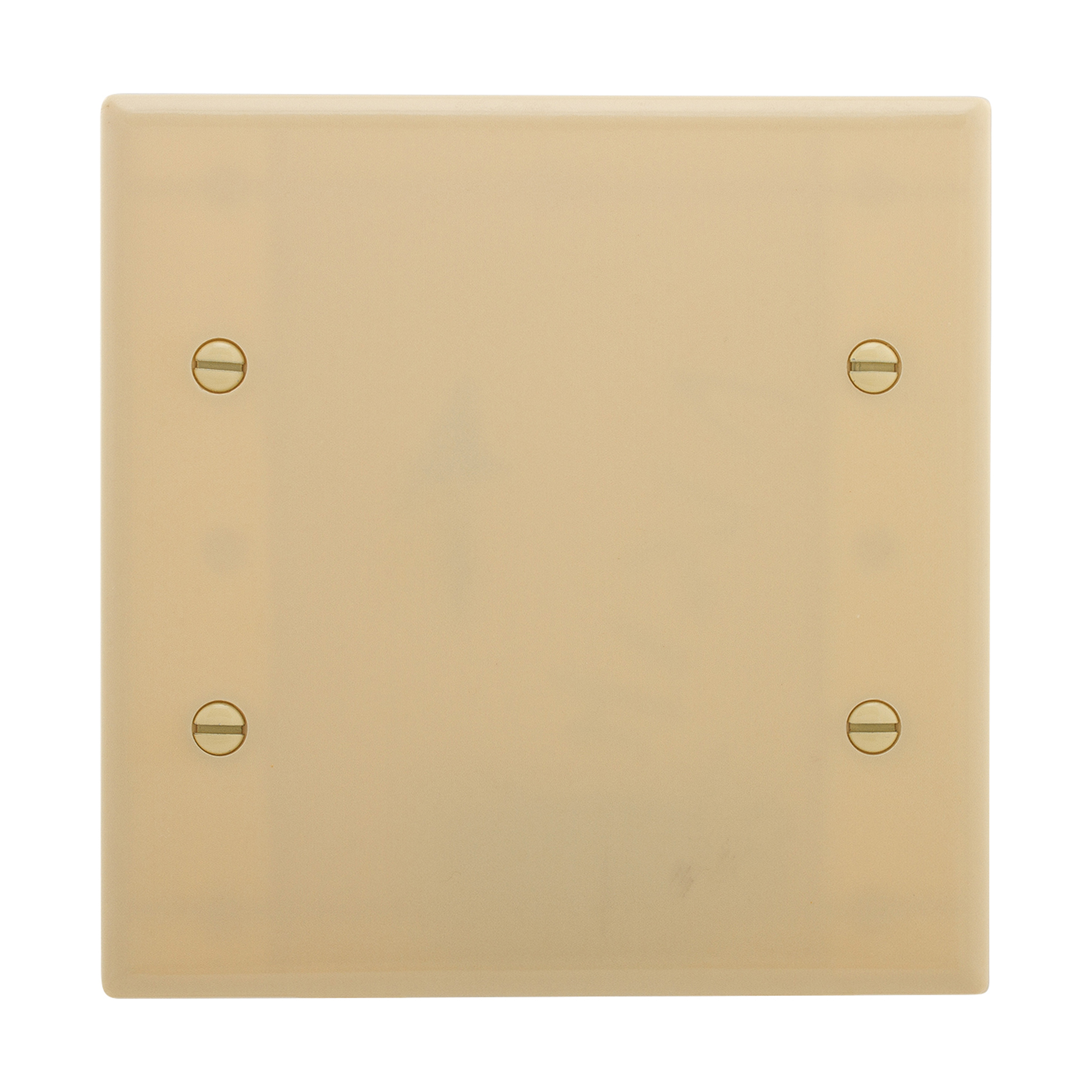 Standard Size Extra Depth Wallplate