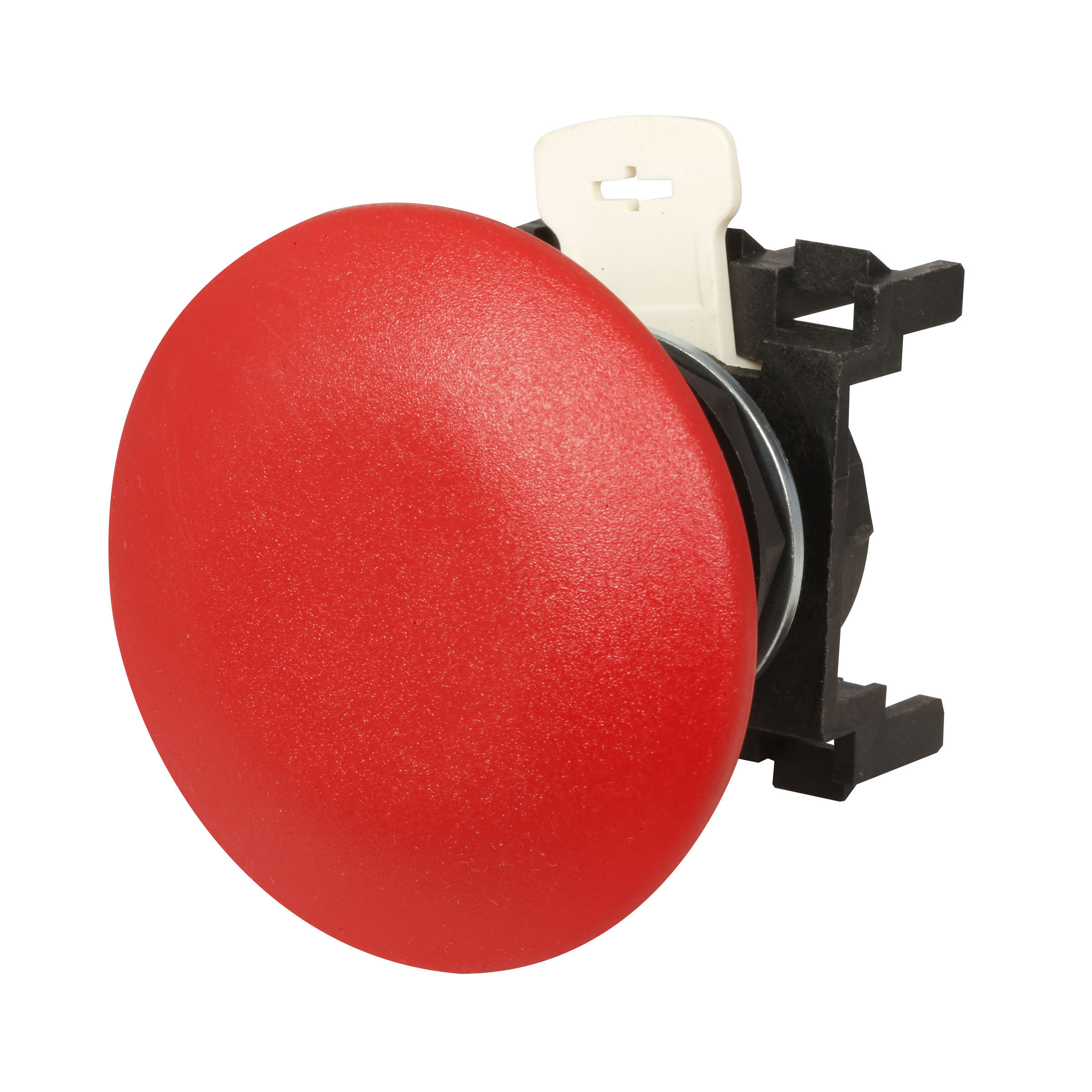 Assembled, 22.5 mm, Non-metallic Pushbutton