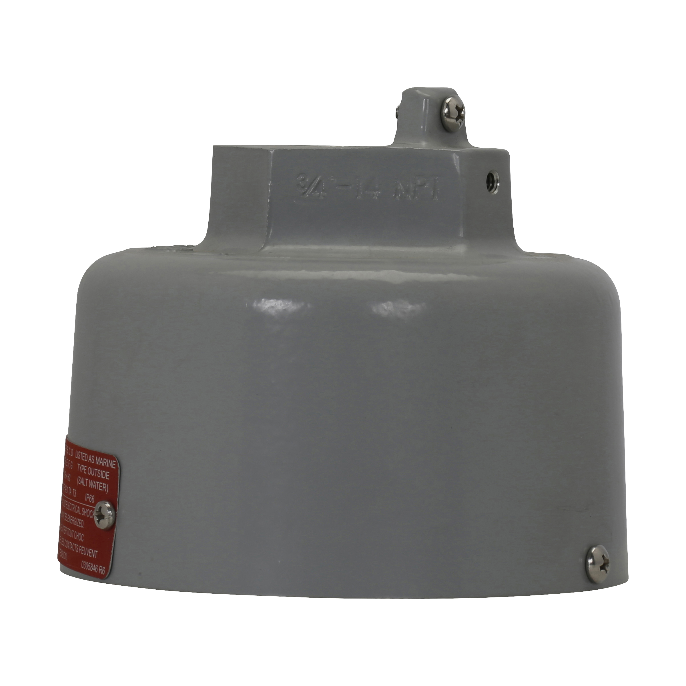 DDS_1256546