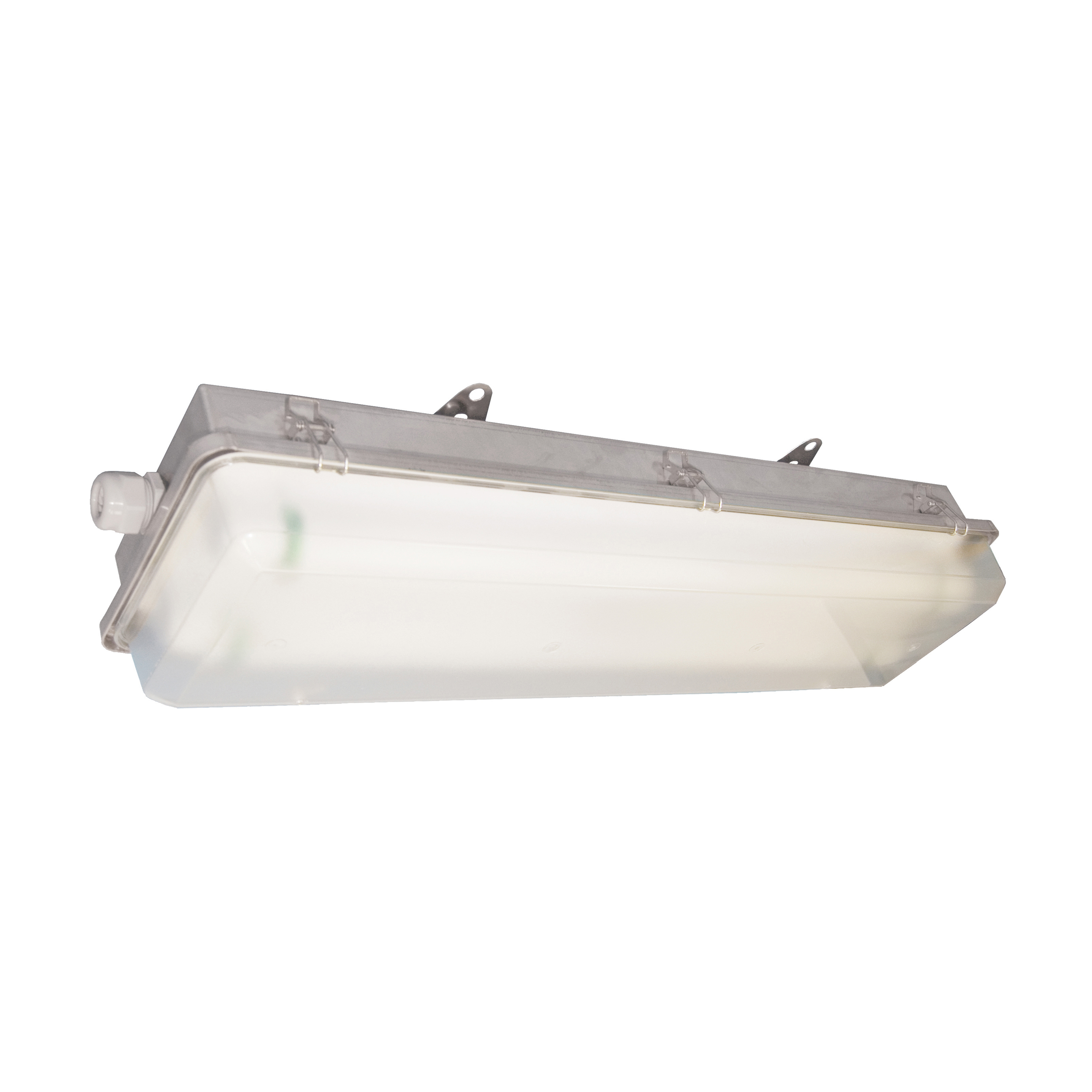 Eaton's Crouse-Hinds series Pauluhn Intrepid Filter Tube