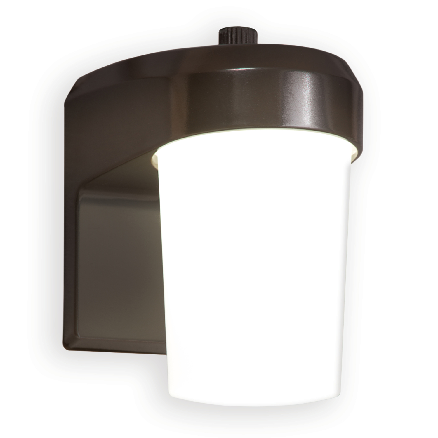 ALL-PRO Entry/Patio Light