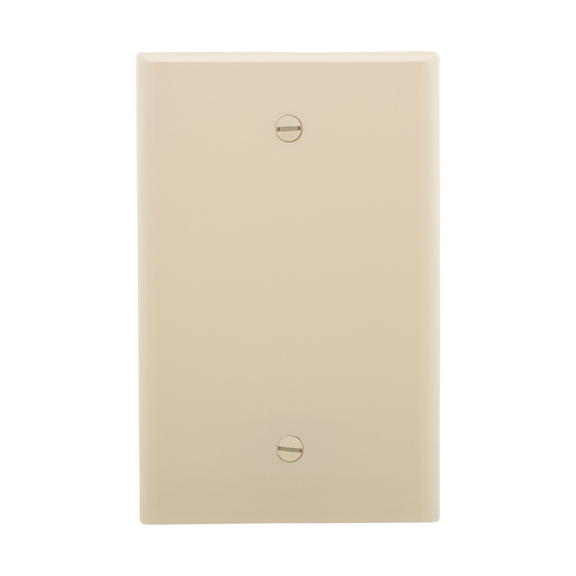 Mid-size Blank Wallplate