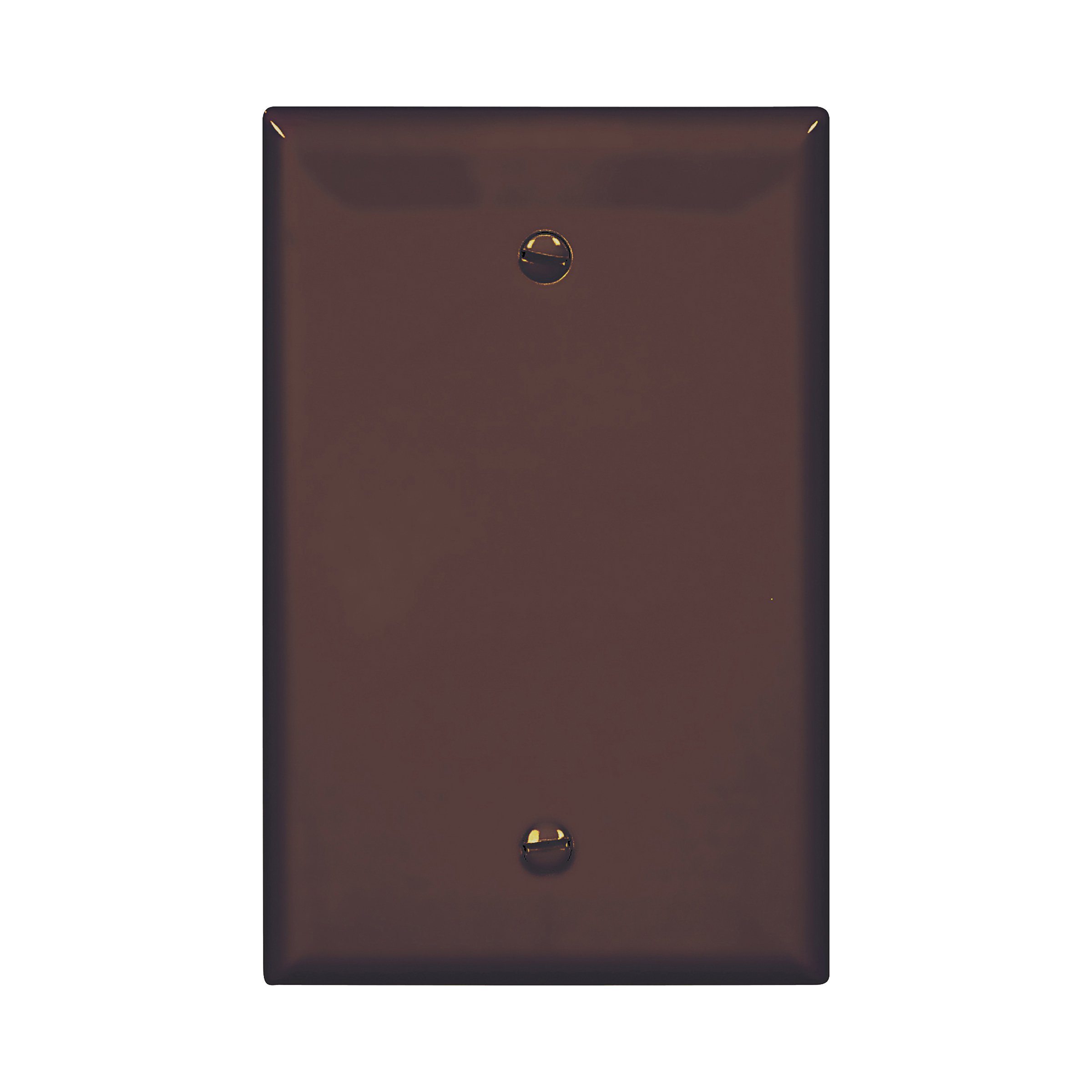 Mid-size Blank Wallplate