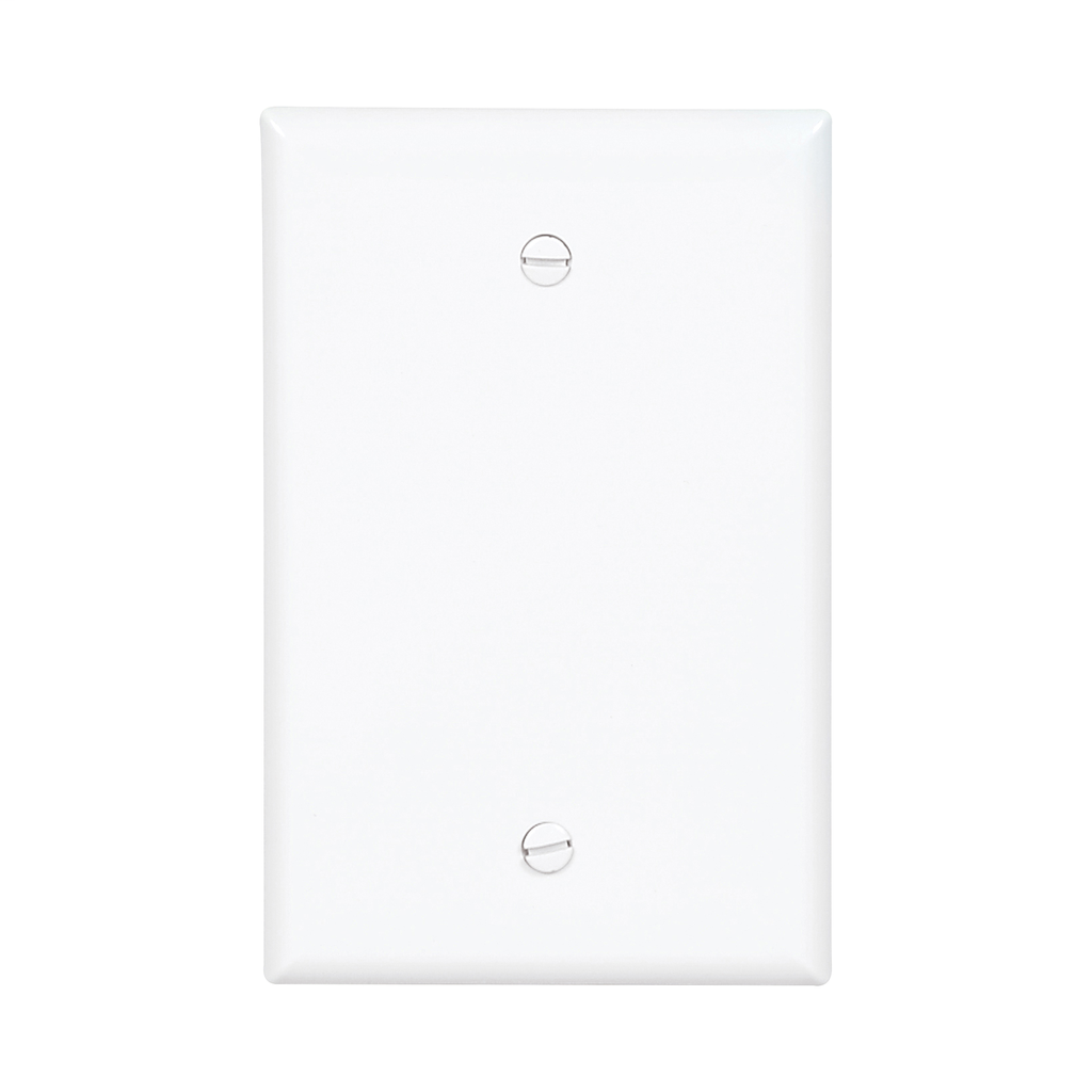 Mayer-DDS-Mid-size Blank Wallplate-1