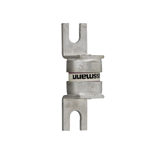 Product image for BUSS SF25H100 100Amp 250Vac SEMI-CO