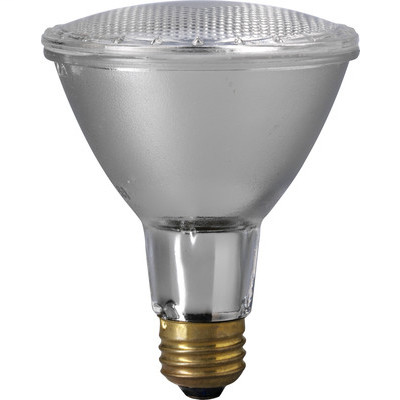 120V 60W Long Neck Narrow Flood EiKON PAR30 Medium Base