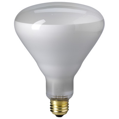 65W 120V Flood BR40 Medium Base