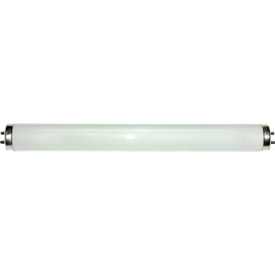 40W Cool White 4100K T-12 Medium Bi-pin Base