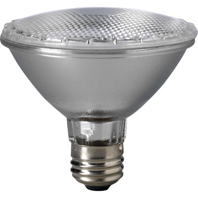 Product image for Eiko Mini Lamps 60PAR30/H/FL-120V 60 W Medium Base Flood Lamp