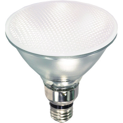 Product image for EIKO IR71PAR38/FL 120V 71W FLOOD EI