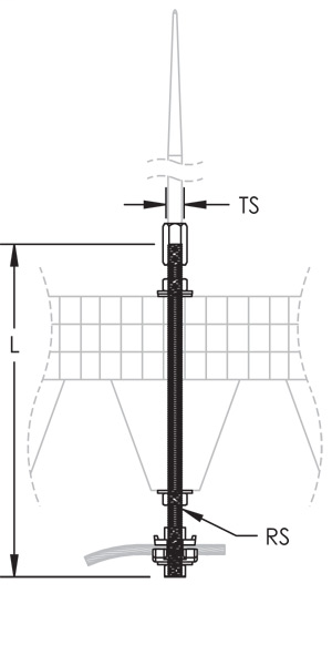 DDS_379881