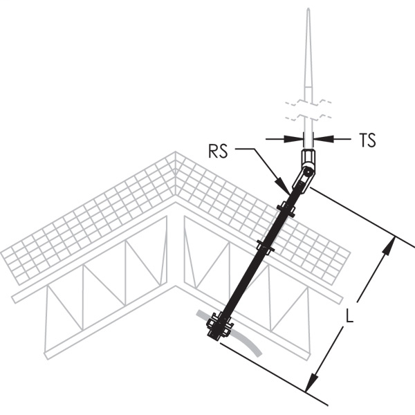 DDS_380248