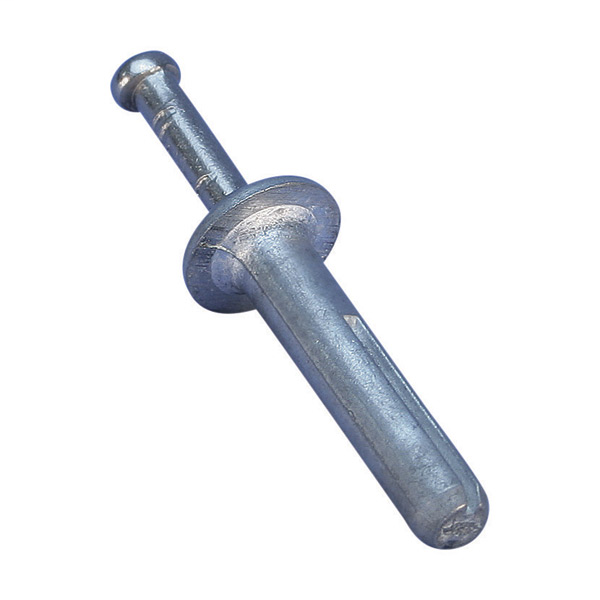 Drive-In Anchor with Nail A930W004