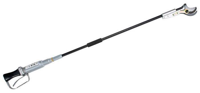 ORCHARD PRUNER
