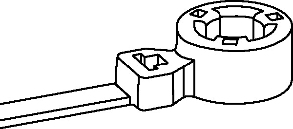 DDS_440579