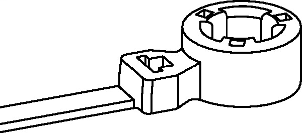 DDS_440579