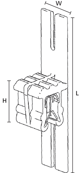 DDS_439949
