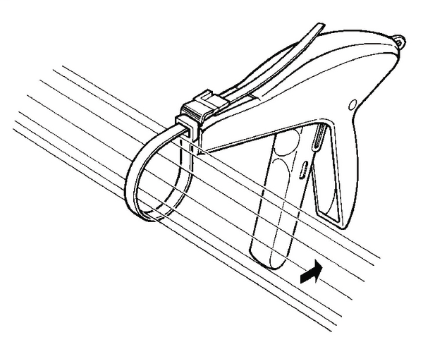 DDS_446086