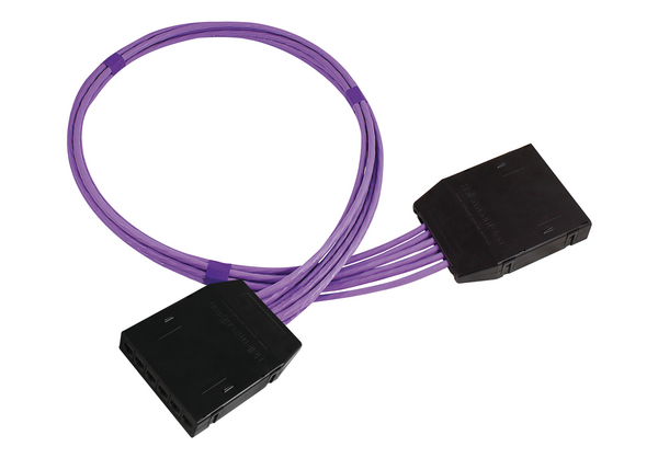 RapidNet 6 Port Category 6A UTP RN06U6A-CACABK-10.0M