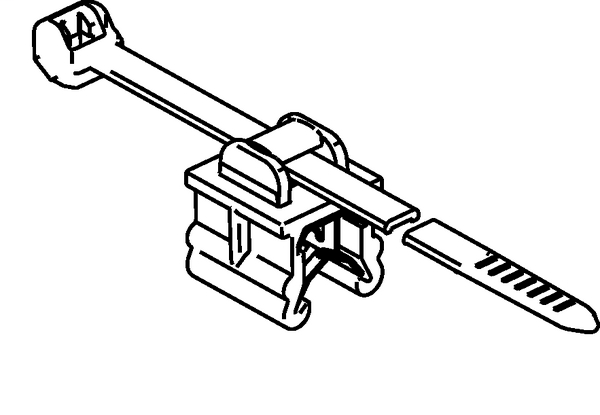 DDS_440979