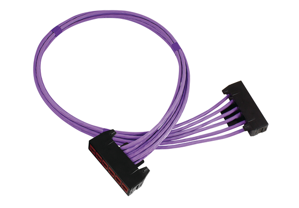 RapidNet 6 Port Category 6  RN06UC6-CBCBGN-10.0M