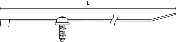 DDS_441377