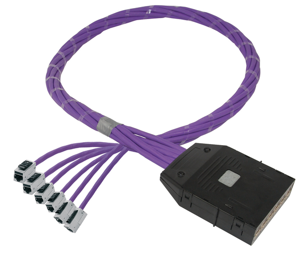 RapidNet 6 Port Category 6A FTP RN06G6A-CAKJXX-10.0M