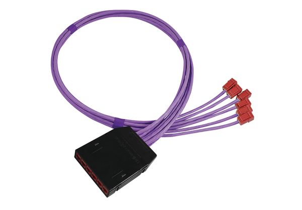 RapidNet 6 Port Category 6A UTP RN06U6A-CAGTRD-10.0M