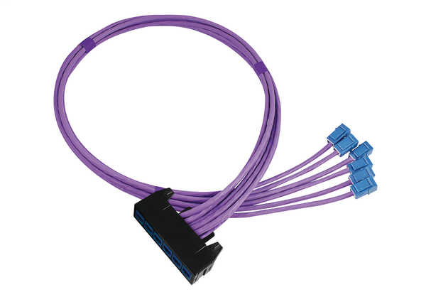 RapidNet 6 Port Category 6  RN06UC6-CBGTBL-10.0M