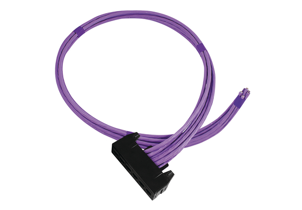 RapidNet 6 Port Category 6  RN06UC6-CBBEBK-10.0M