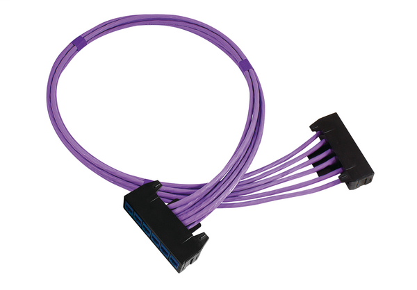 RapidNet 6 Port Category 5e RN06U5E-CBCBBL-10.0M
