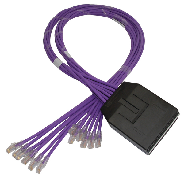 RapidNet 12 Port Category 6 RN12UC6-CAPLXX-10.0M