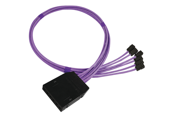 RapidNet 6 Port Category 6A UTP RN06U6A-CAGTBK-10.0M
