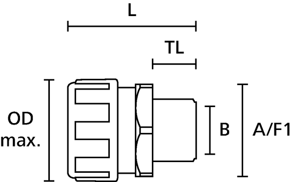 DDS_459418