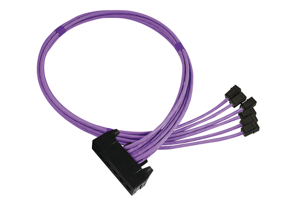 RapidNet 6 Port Category 6  RN06UC6-CBGTBK-10.0M