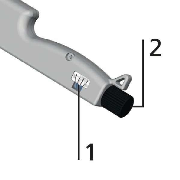 DDS_443570