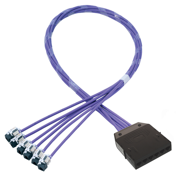 RapidNet Category 5e  RN06U5E-CAKJXX-10.0M