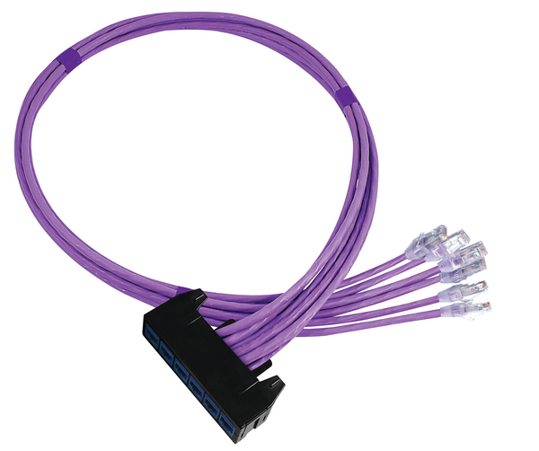 RapidNet 6 Port Category 6  RN06UC6-CBPLBK-10.0M