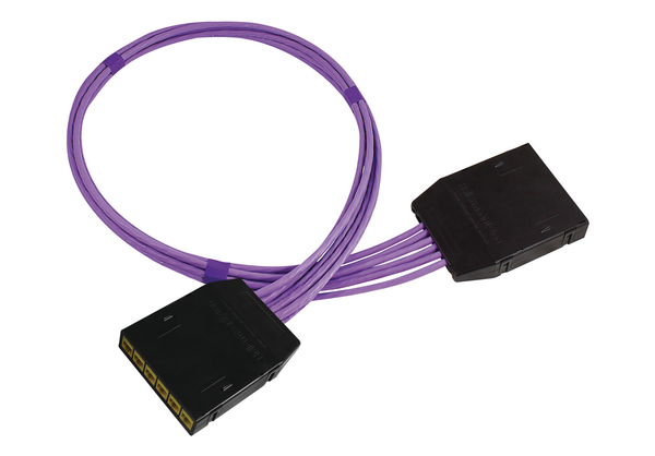 RapidNet 6 Port Category 6A UTP RN06U6A-CACAYE-10.0M