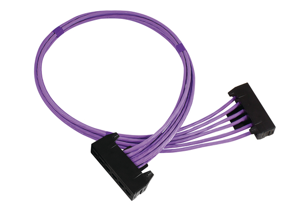 RapidNet 6 Port Category 6A UTP RN06U6A-CBCBBK-10.0M