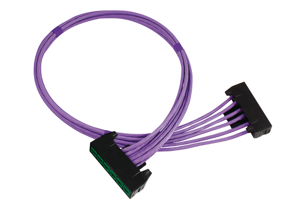 RapidNet 6 Port Category 6A UTP RN06U6A-CBCBGN-10.0M