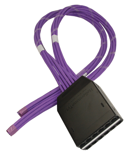 RapidNet 12 Port Category 6 RN12UC6-CABEXX-10.0M