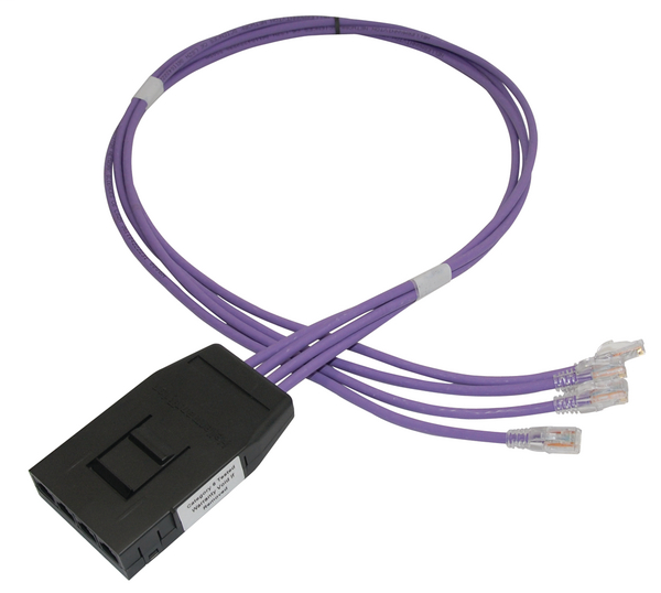 RapidNet 4 Port Category 6  RN04UC6-CAPLXX-10.0M