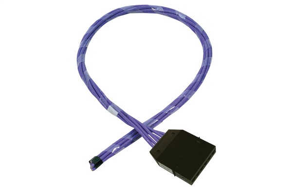 RapidNet 6 Port Category 6  RN06UC6-CABEXX-10.0M