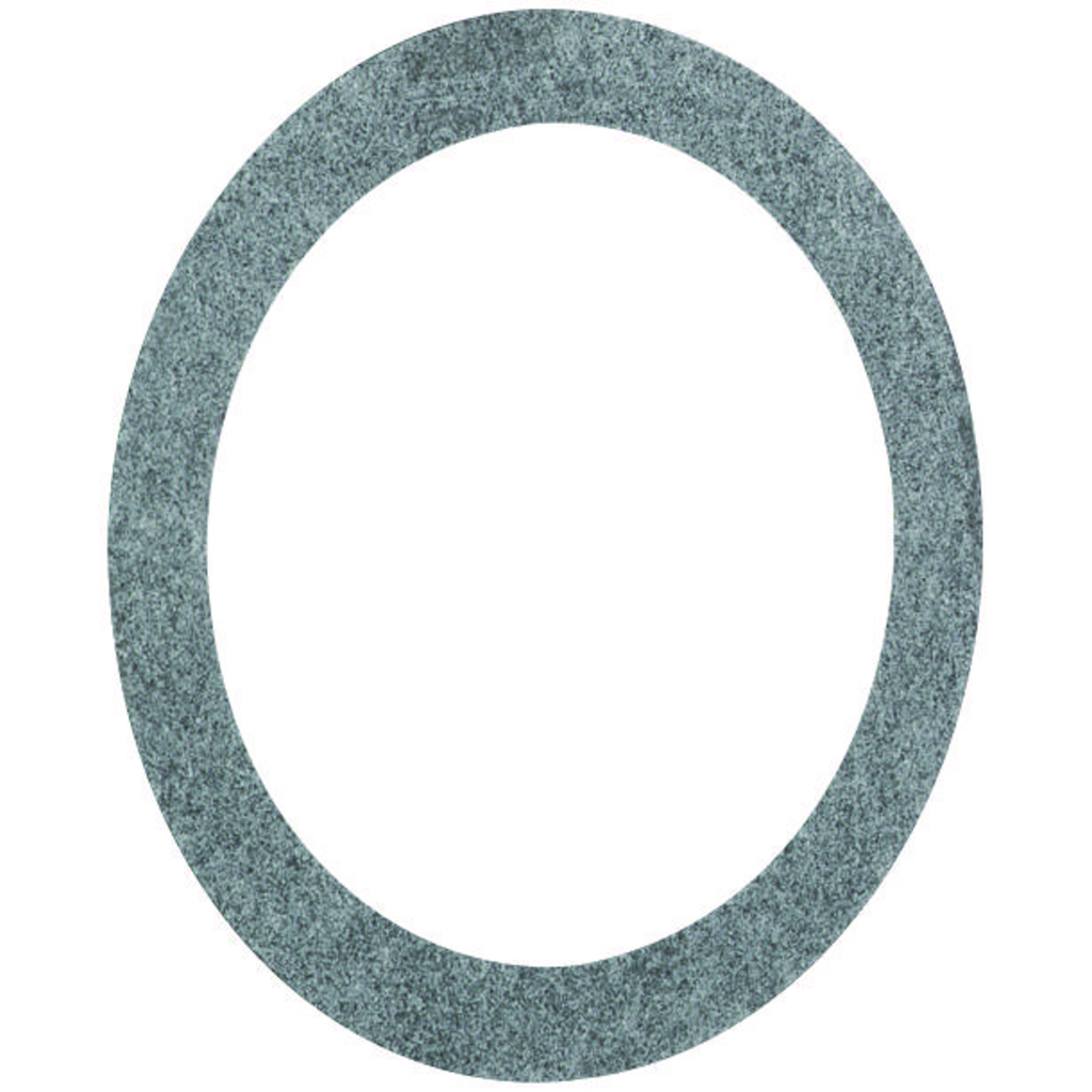 V Series - Globe Gasket - For 200 Series