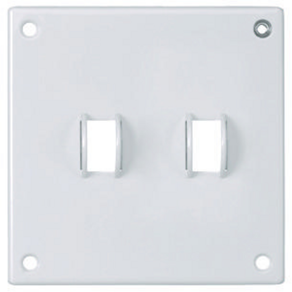 Wallplates and Boxes, Security Wallplates, 2-Gang, 2) Toggle Openings, Standard Size, White Painted Steel